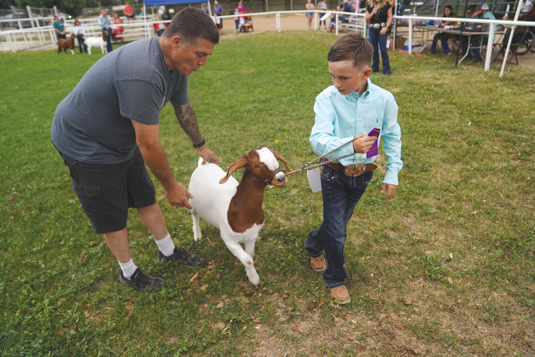 Goat Show Standalones 005.jpg